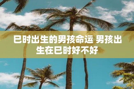 巳时出生的男孩命运 男孩出生在巳时好不好