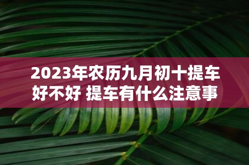 2025年农历九月初十提车好不好 提车有什么注意事项