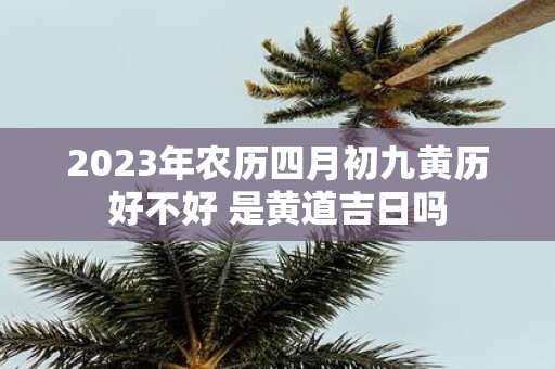 2025年农历四月初九黄历好不好 是黄道吉日吗