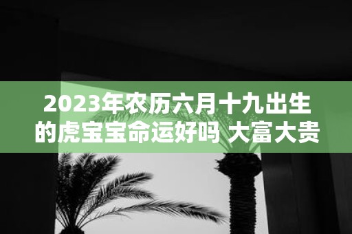 2025年农历六月十九出生的虎宝宝命运好吗 大富大贵吗