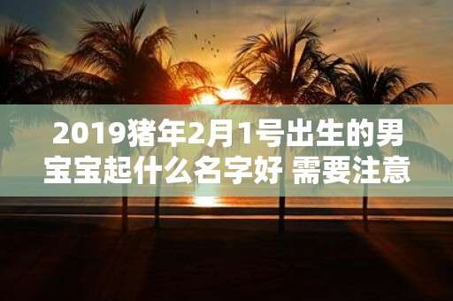 2019猪年2月1号出生的男宝宝起什么名字好 需要注意什么