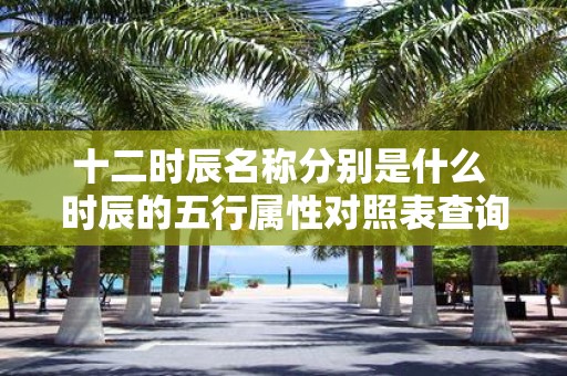 十二时辰名称分别是什么 时辰的五行属性对照表查询
