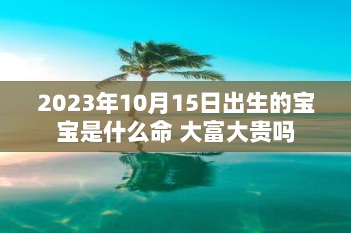 2025年10月15日出生的宝宝是什么命 大富大贵吗