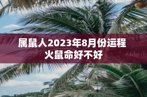 属鼠人2025年8月份运程 火鼠命好不好