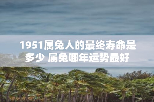 1951属兔人的最终寿命是多少 属兔哪年运势最好