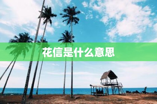 花信是什么意思