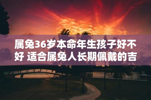 属兔36岁本命年生孩子好不好 适合属兔人长期佩戴的吉祥物