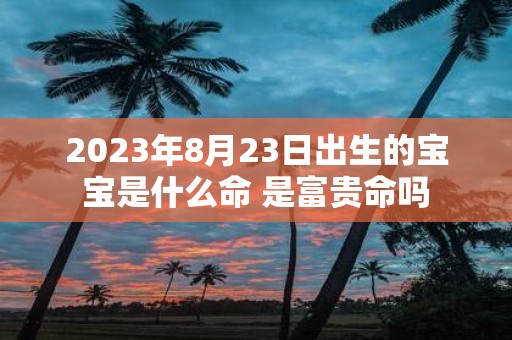 2025年8月23日出生的宝宝是什么命 是富贵命吗
