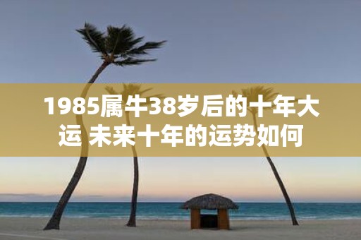 1985属牛38岁后的十年大运 未来十年的运势如何