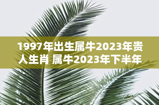 1997年出生属牛2025年贵人生肖 属牛2025年下半年运势