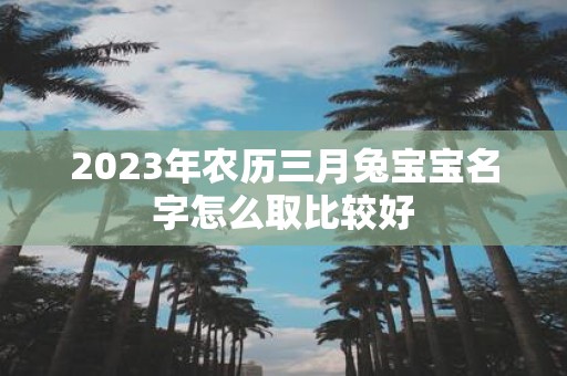 2025年农历三月兔宝宝名字怎么取比较好
