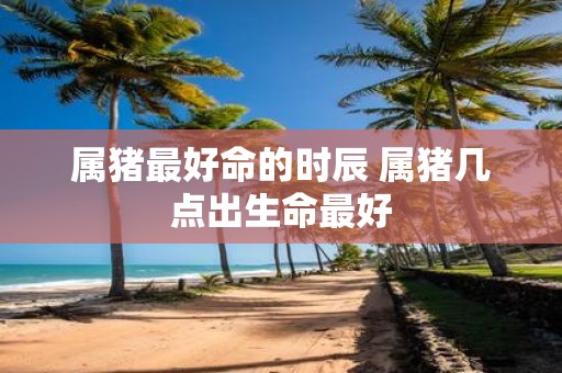 属猪最好命的时辰 属猪几点出生命最好