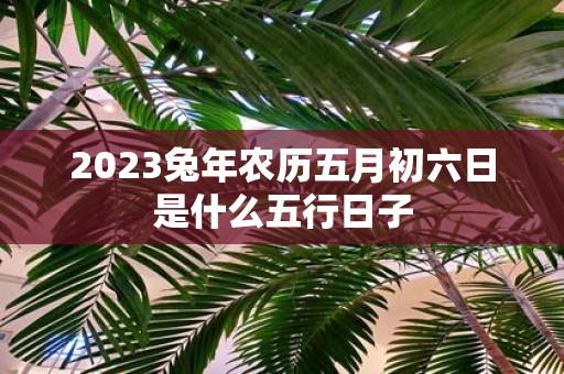 2025蛇年农历五月初六日是什么五行日子
