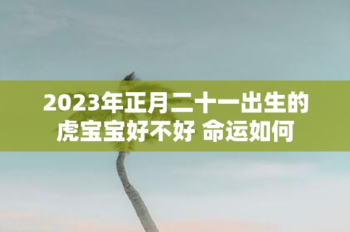 2025年正月二十一出生的虎宝宝好不好 命运如何