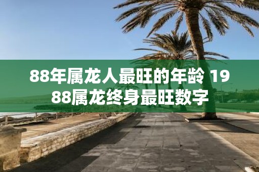 88年属龙人最旺的年龄 1988属龙终身最旺数字
