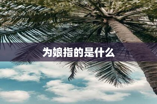 为娘指的是什么
