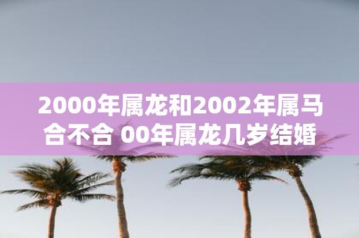 2000年属龙和2002年属马合不合 00年属龙几岁结婚好