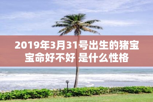 2019年3月31号出生的猪宝宝命好不好 是什么性格