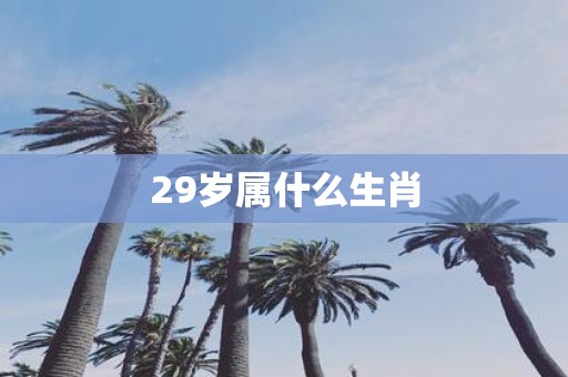 29岁属什么生肖
