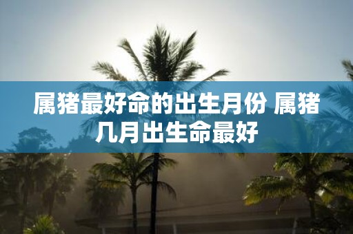 属猪最好命的出生月份 属猪几月出生命最好