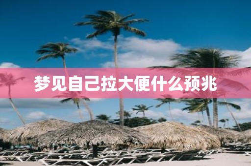 梦见自己拉大便什么预兆