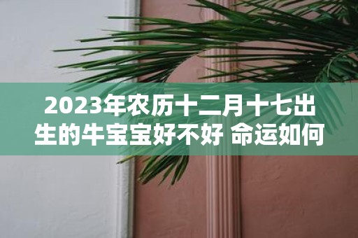 2025年农历十二月十七出生的牛宝宝好不好 命运如何