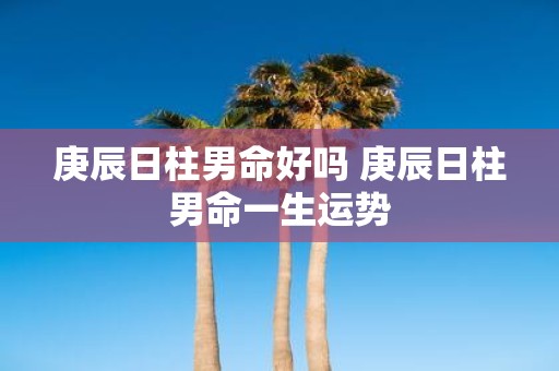 庚辰日柱男命好吗 庚辰日柱男命一生运势