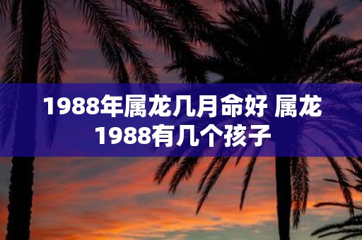 1988年属龙几月命好 属龙1988有几个孩子