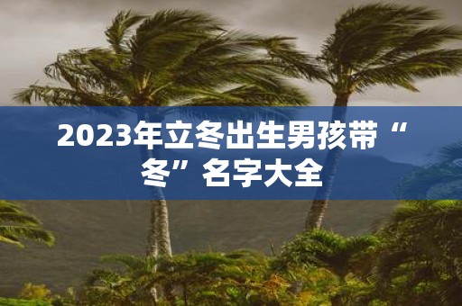 2025年立冬出生男孩带“冬”名字大全