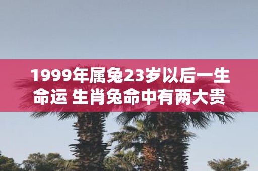 1999年属兔23岁以后一生命运 生肖兔命中有两大贵人