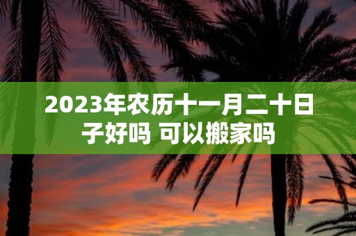 2025年农历十一月二十日子好吗 可以搬家吗