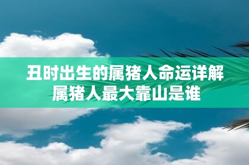 丑时出生的属猪人命运详解 属猪人最大靠山是谁