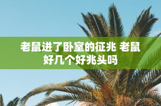 老鼠进了卧室的征兆 老鼠好几个好兆头吗