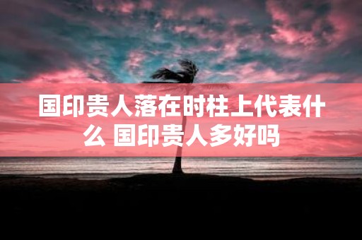 国印贵人落在时柱上代表什么 国印贵人多好吗