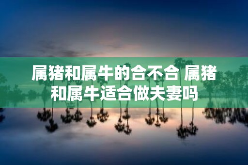 属猪和属牛的合不合 属猪和属牛适合做夫妻吗