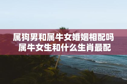 属狗男和属牛女婚姻相配吗 属牛女生和什么生肖最配
