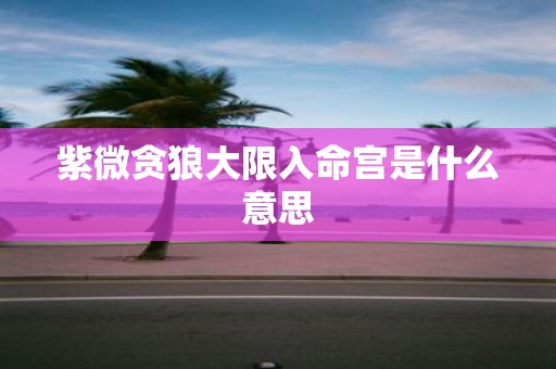 紫微贪狼大限入命宫是什么意思