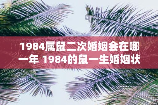 1984属鼠二次婚姻会在哪一年 1984的鼠一生婚姻状况