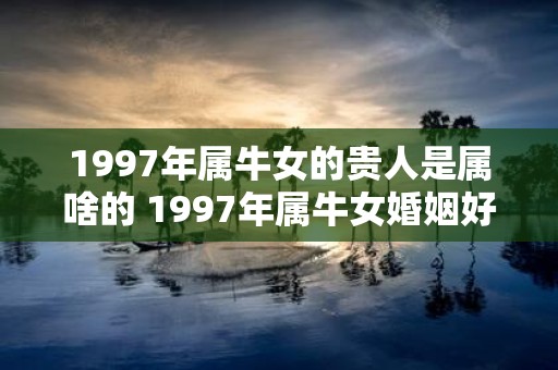 1997年属牛女的贵人是属啥的 1997年属牛女婚姻好吗