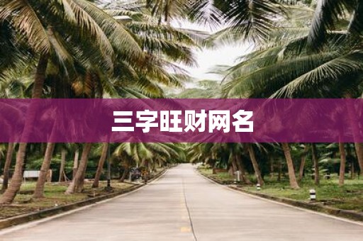 三字旺财网名