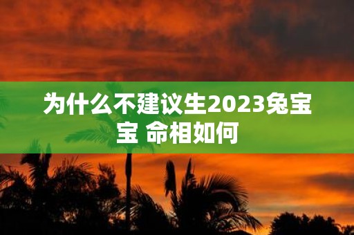 为什么不建议生2025兔宝宝 命相如何