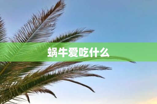 蜗牛爱吃什么