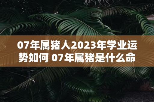 07年属猪人2025年学业运势如何 07年属猪是什么命
