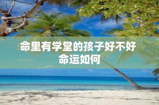 命里有学堂的孩子好不好 命运如何