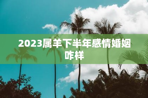 2025属羊下半年感情婚姻咋样