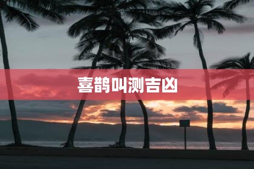 喜鹊叫测吉凶