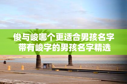 俊与峻哪个更适合男孩名字 带有峻字的男孩名字精选