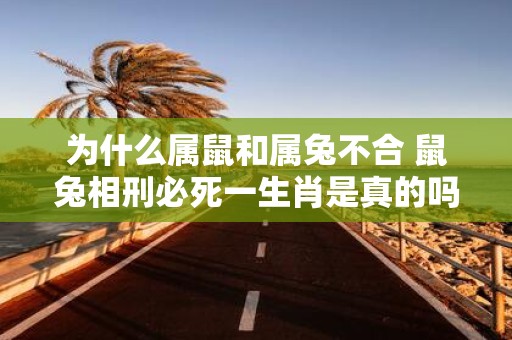 为什么属鼠和属兔不合 鼠兔相刑必死一生肖是真的吗