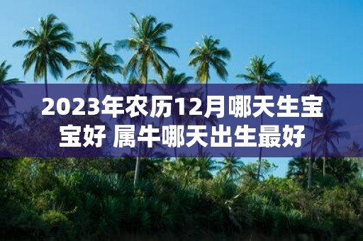2025年农历12月哪天生宝宝好 属牛哪天出生最好