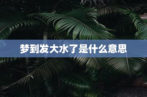 梦到发大水了是什么意思